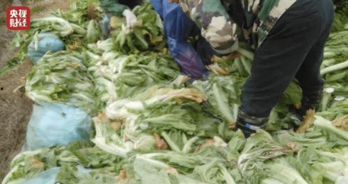 老坛酸菜牛肉面新闻爆料,真相揭秘与行业反思  第3张