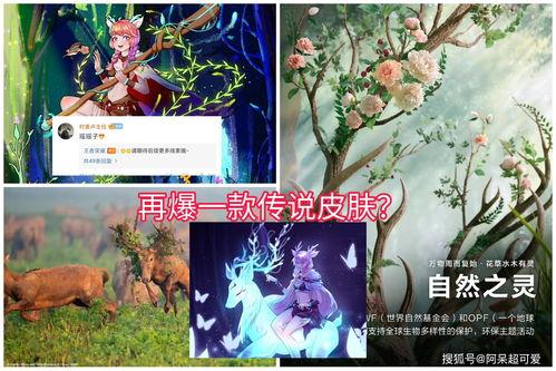 瑶瑶新皮肤最新爆料图片,炫彩斑斓，美轮美奂  第3张